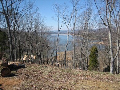 TL lot 81 views 2-11