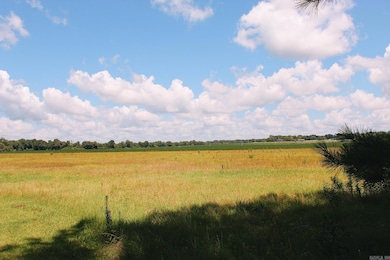 505 Highway 49, Rector, AR 72461 - photo 7