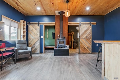 24427 Thovson Rd, Keystone, SD 57751 - photo 4