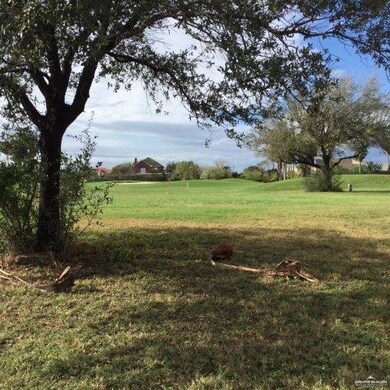 1501 Tierra Bella, Weslaco, TX 78596 - photo 5