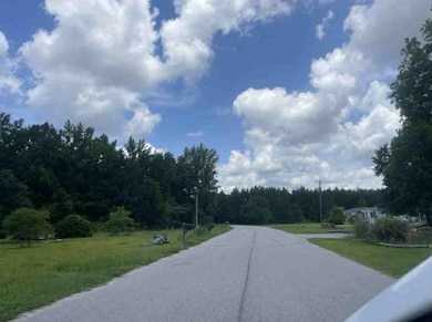 2040 Goodman Rd, Lynchburg, SC 29080 - photo 5