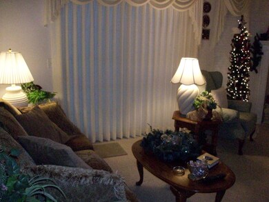 Picture 003