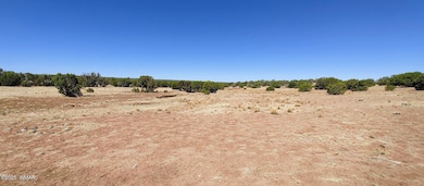 9182 Texas Ln, Show Low, AZ 85901 - photo 5