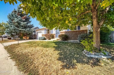 00_Front_IMG08978