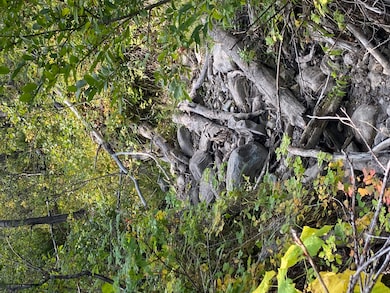 NHN Arlie Tracts, Other, See Remarks, MT 59411 - photo 3