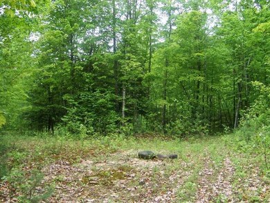 Lot 1A Spring Rd, Newfield, ME 04056 - photo 7