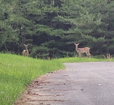 0 Palamino Way unit RTC2884048, Spencer, TN 38585 - photo 2