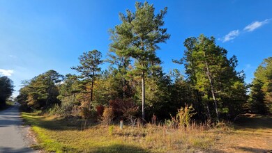 0 Deerwood & Brentwood unit 139029, Fitzgerald, GA 31750 - photo 4