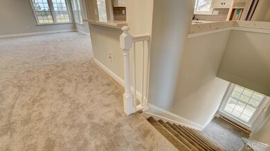 Brand new carpet with premium  padding; like walking on a cloud.