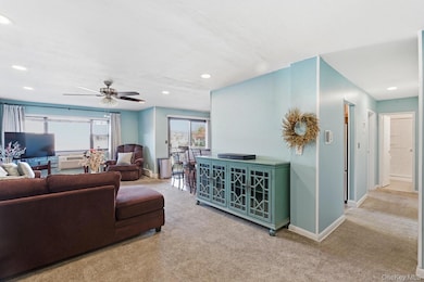 210 Fulton St unit 2C, Farmingdale, NY 11735 - photo 5