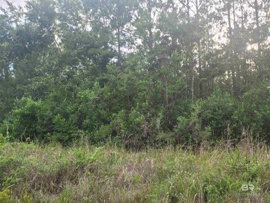 0 Bellingrath Rd unit 374430, Theodore, AL 36582 - photo 2