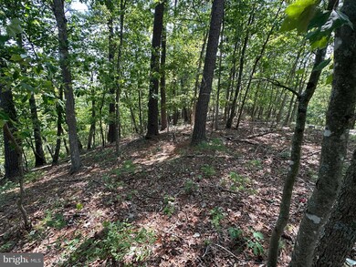 22 E Walls Ridge Rd, Basye, VA 22810 - photo 3