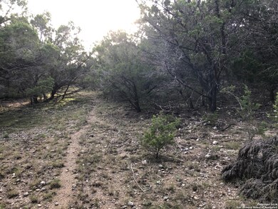 26058 Dull Knife Trail, San Antonio, TX 78255 - photo 3