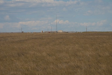 Tbd Cr 73 Lot unit WP001, Hereford, CO 80732 - photo 5