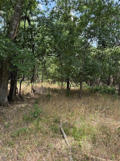 View of nature