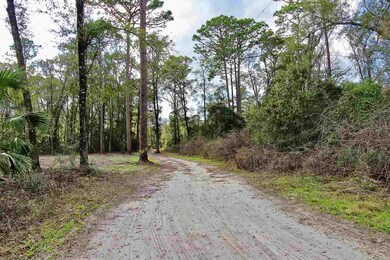 0 Honor Dr unit 315967, Crawfordville, FL 32327 - photo 5