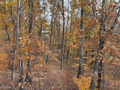 View of wooded area