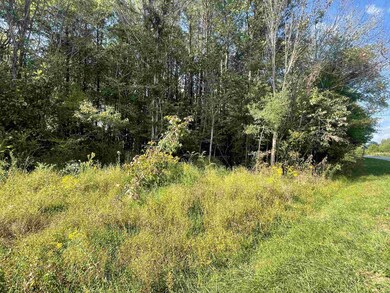 2389 Bowers Store Rd, Siler City, NC 27344 - photo 4