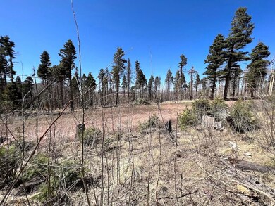 0 Colorado 159 unit 25751515, Fort Garland, CO - photo 7