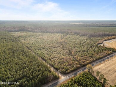 0, Aurora, NC 27806 - photo 7