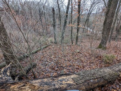 000 Gregg Rd, Reeds Spring, MO 65737 - photo 6