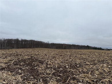 unlisted-address, Sarona, WI 54870 - photo 5