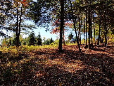 20171012_103749[38060]
