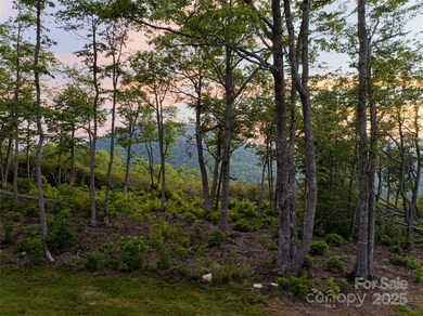 000 E Garden Trail unit 47, Fletcher, NC 28732 - photo 5