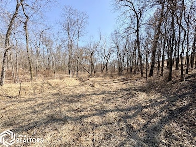 27582 485th St, Rathbun, IA 52544 - photo 7