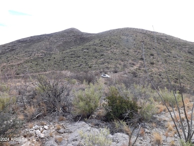 Lot 2 W Red Mountain Rd unit 2, Bisbee, AZ 85603 - photo 5