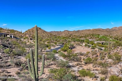 867 W Granite Gorge Dr unit 327, Oro Valley, AZ 85755 - photo 4