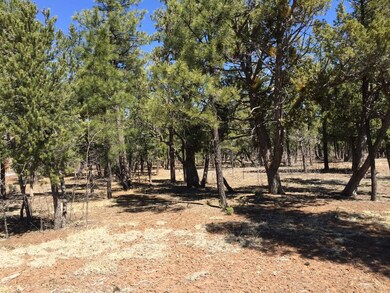 240 Cedar Breaks Ave unit 289, Show Low, AZ 85901 - photo 6