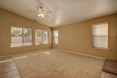 FAMILY ROOM GREAT WINDOWS