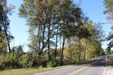 14901 Desoto Rd, Mineral Wells, MS 38654 - photo 3