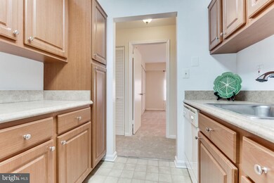 5827 Cove Landing Rd unit 201, Burke, VA 22015 - photo 6