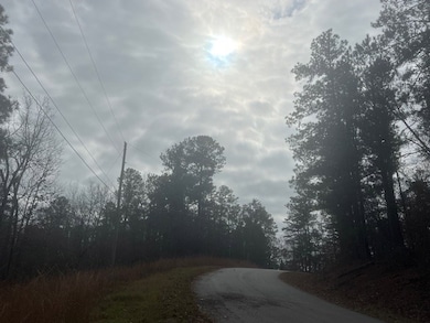 0000 Sunshine Dr, Sparta, GA 31087 - photo 3