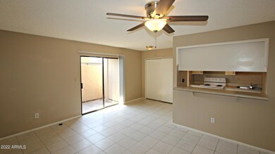 410 E 9th Ave unit 8, Mesa, AZ 85204 - photo 5