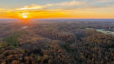 5785 Evergreen Loop, Leslie, MO 63056 - photo 5