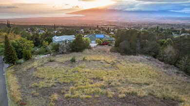 90 Alanuilili Place, Kula, HI 96790 - photo 2