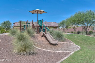 Cortana at Desert Oasis-Playground2