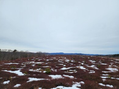 3 Whispering Berries Hill, Liberty, ME 04949 - photo 6