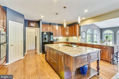 19396 Emerald Park Dr, Leesburg, VA 20175 - photo 3