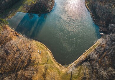 15319 Laminack Rd, Carterville, IL 62918 - photo 5