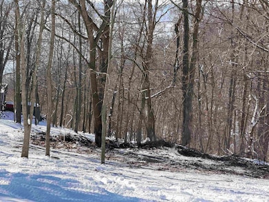 20549 Big Timber Ridge Rd, Eastman, WI 54626 - photo 5