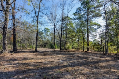 5901 Highline Dr, Montgomery, TX 77316 - photo 2