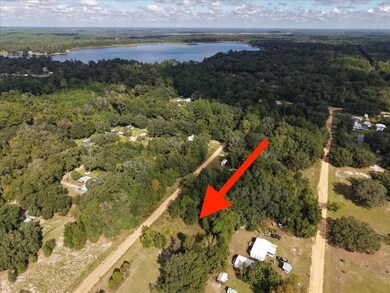 206 N Helmers Ave, Interlachen, FL 32148 - photo 7