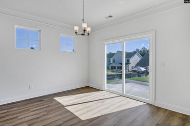 624 Thunder Gulch Ave, Lexington, SC 29073 - photo 7