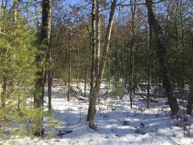 L41 Cranberry Creek Rd, Cutler, WI 54618 - photo 4