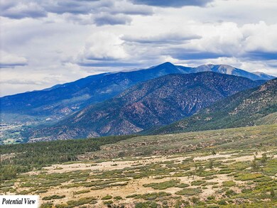 TBD Usfs Forestroad 132a, Questa, NM 87556 - photo 5