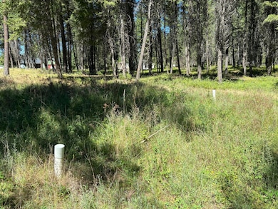 3741 N Deer Lake Rd, Loon Lake, WA 99148 - photo 6